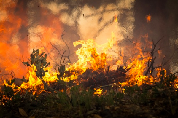 В результате лесных пожаров на юго-западе Китая погибли 30 человек