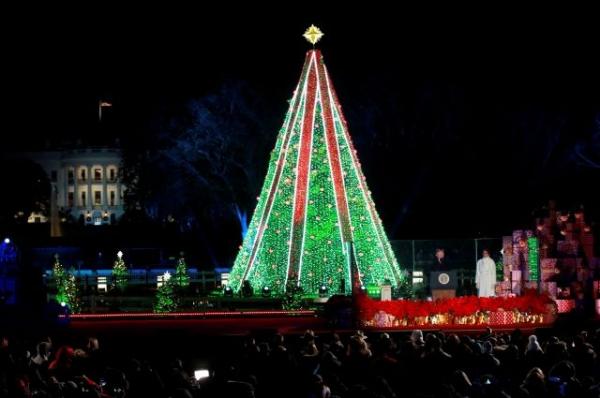 Мужчина забрался на главную праздничную елку у Белого дома в США
