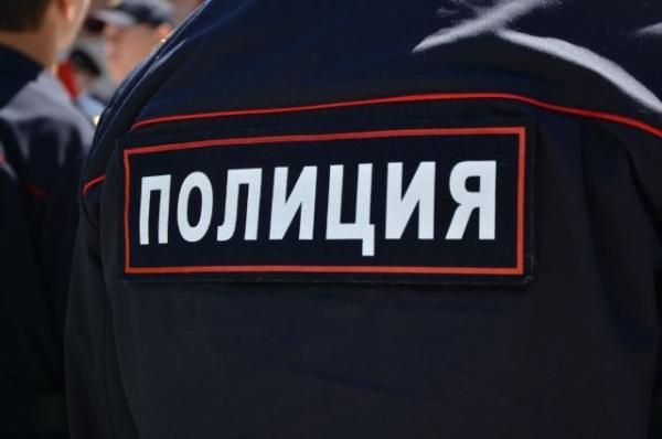 Сотрудники полиции утроили драку на юге Москвы