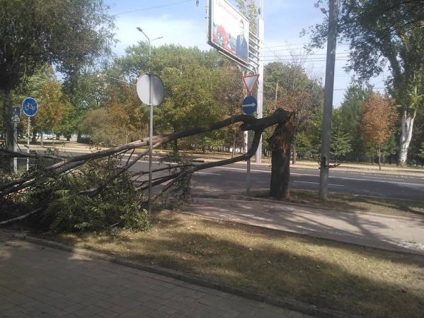 Шквальный ветер в Донецке ломает деревья, сносит шифер, устраивает пожары