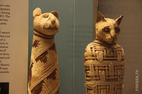 Интересные факты о древнеегипетских мумиях, которые, возможно, вы не знали