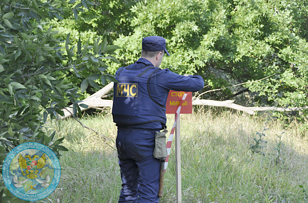 Специалисты МЧС ЛНР за четыре дня обезвредили 54 взрывоопасных предмета у моста в районе Станицы Луганской.