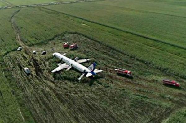 Посадка Airbus в кукурузном поле: как это было