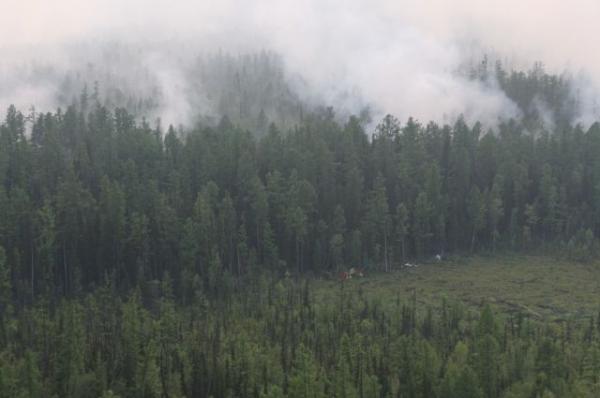 За двое суток авиация Минобороны потушила 84 лесных пожара