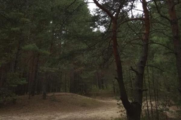 В Забайкалье убийца 13 лет скрывался в лесу