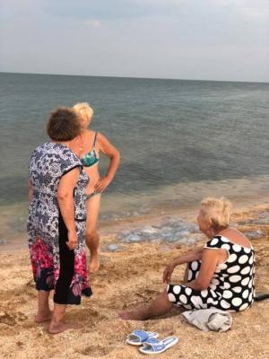 Херсонский курорт закрыл свои пляжи из-за дохлых медуз