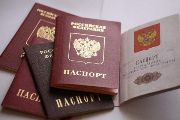 В ДНР создали электронную очередь на получение паспортов