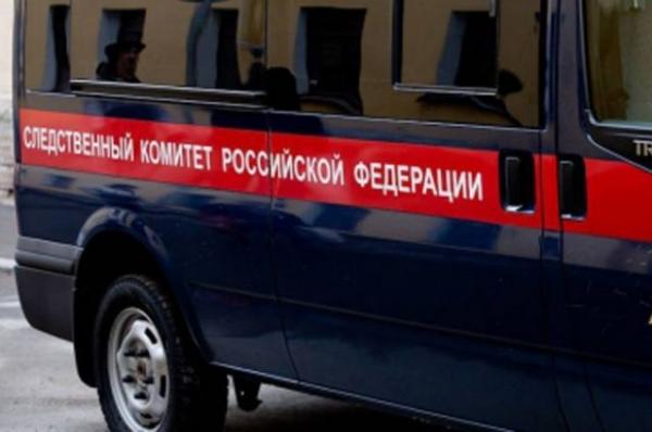 В Курской области завели уголовное дело после гибели двух детей в пруду