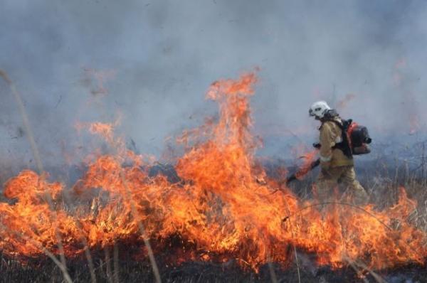 За сутки в Прибайкалье выявили четыре новых лесных пожара