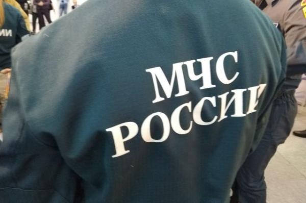 Сотрудники МЧС спасли мужчину из Москва-реки