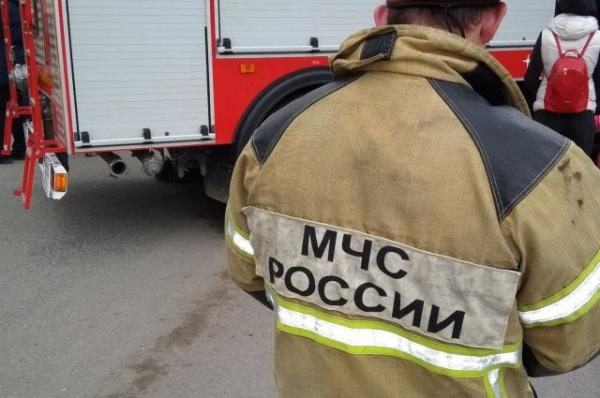 Площадь пожара в здании госархива в Москве составила 150 кв. м