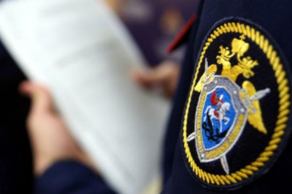 Полиция задержала водителя, сбившего насмерть пешеходов в Петербурге
