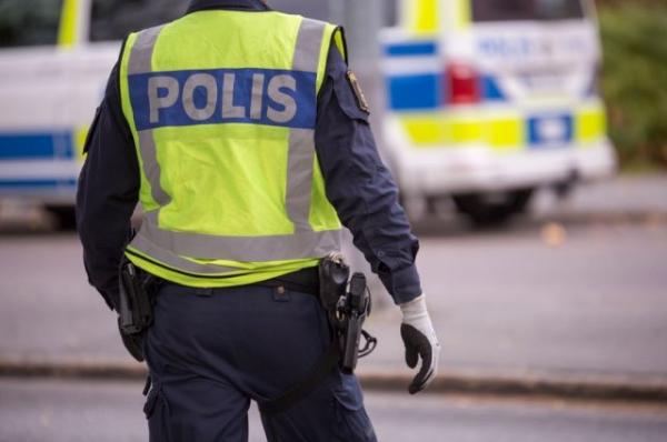 Массовая драка с участием 90 человек произошла в Швеции
