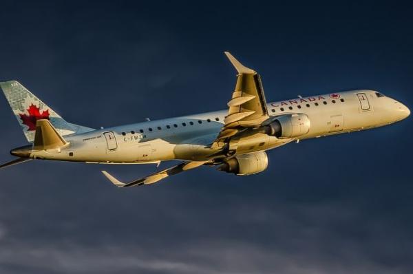 СМИ: самолет Air Canada приземлился в Оттаве после столкновения с птицами