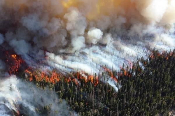 Число жертв пожаров в Калифорнии возросло до 74
