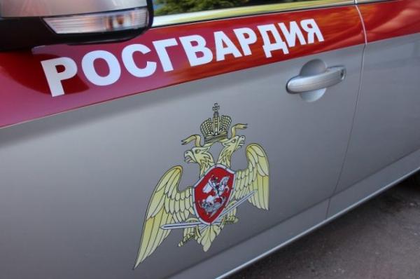 В Москве задержали стритрейсеров, напавших на сотрудников Росгвардии