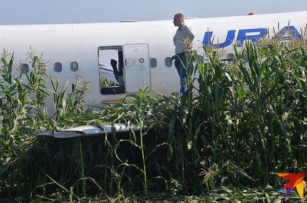 «Специально не выпустил шасси. Так безопаснее»: Пилот А321 рассказал подробности посадки в кукурузном поле в Подмосковье