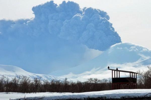На Камчатке вулкан Безымянный выбросил столб пепла высотой 10 км