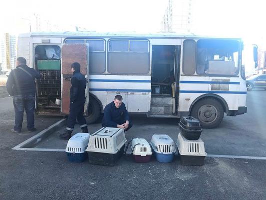 В Челябинске полиция отпустила «зооконцлагерь» на колесах