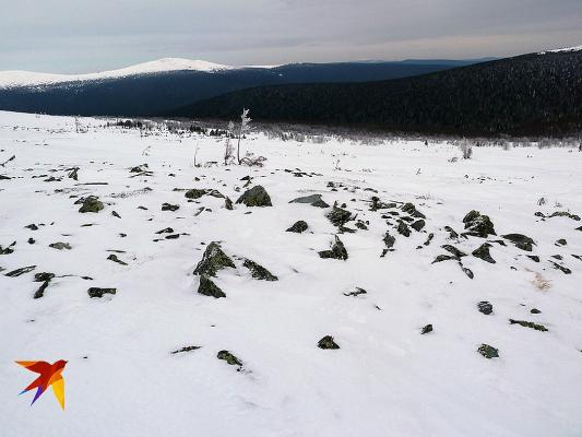«Снег может убивать»: на перевал Дятлова вместе с экспедицией «Комсомолки» едут специалист по лавинам и судмедэксперт
