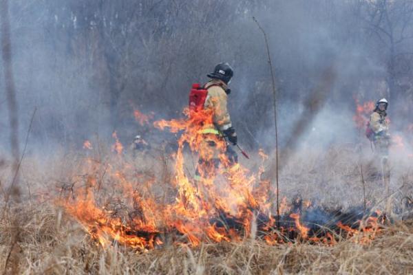 Число пострадавших от пожаров в Забайкалье возросло до 29 человек